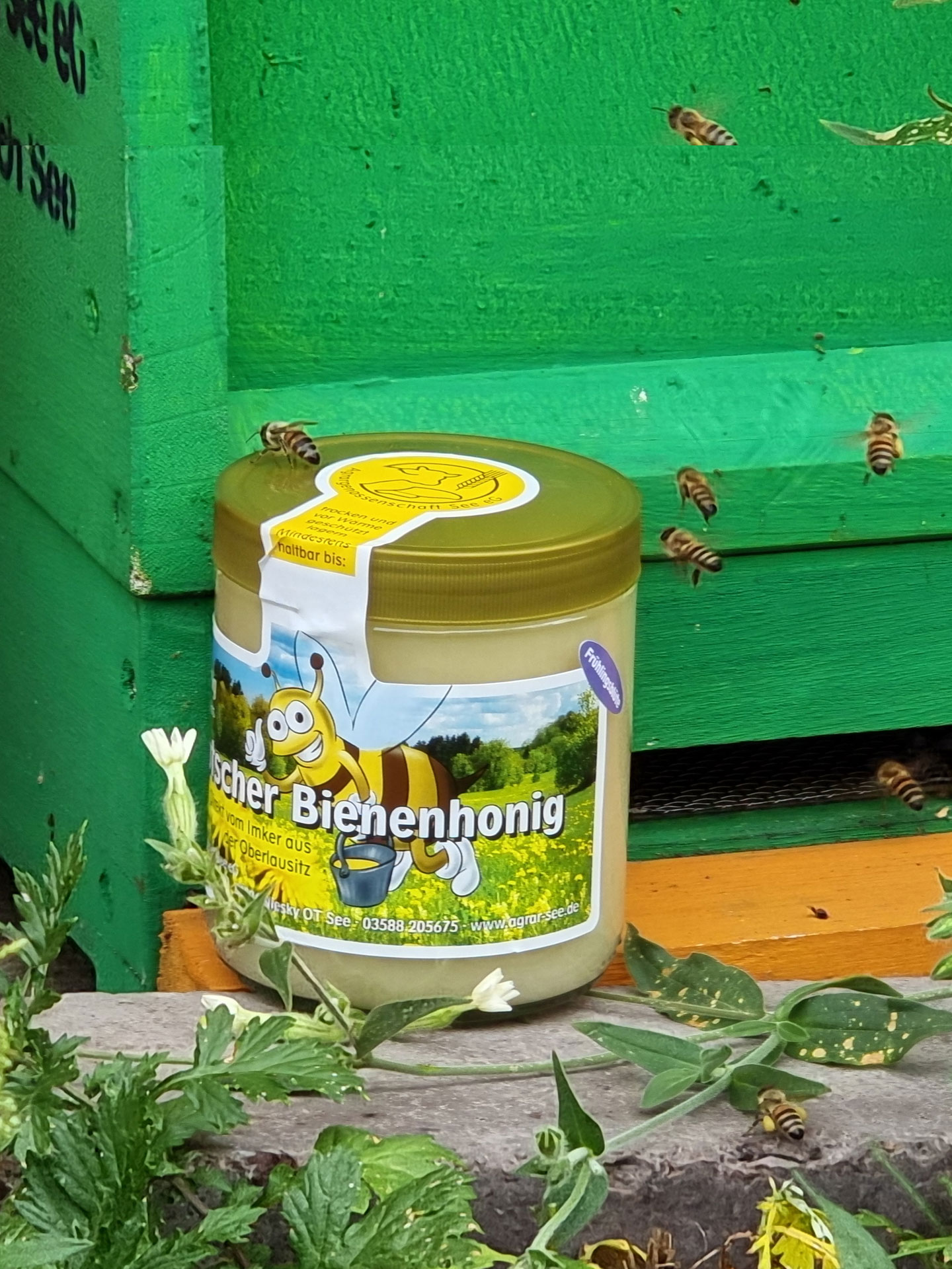 Honig Frühlingsblüte