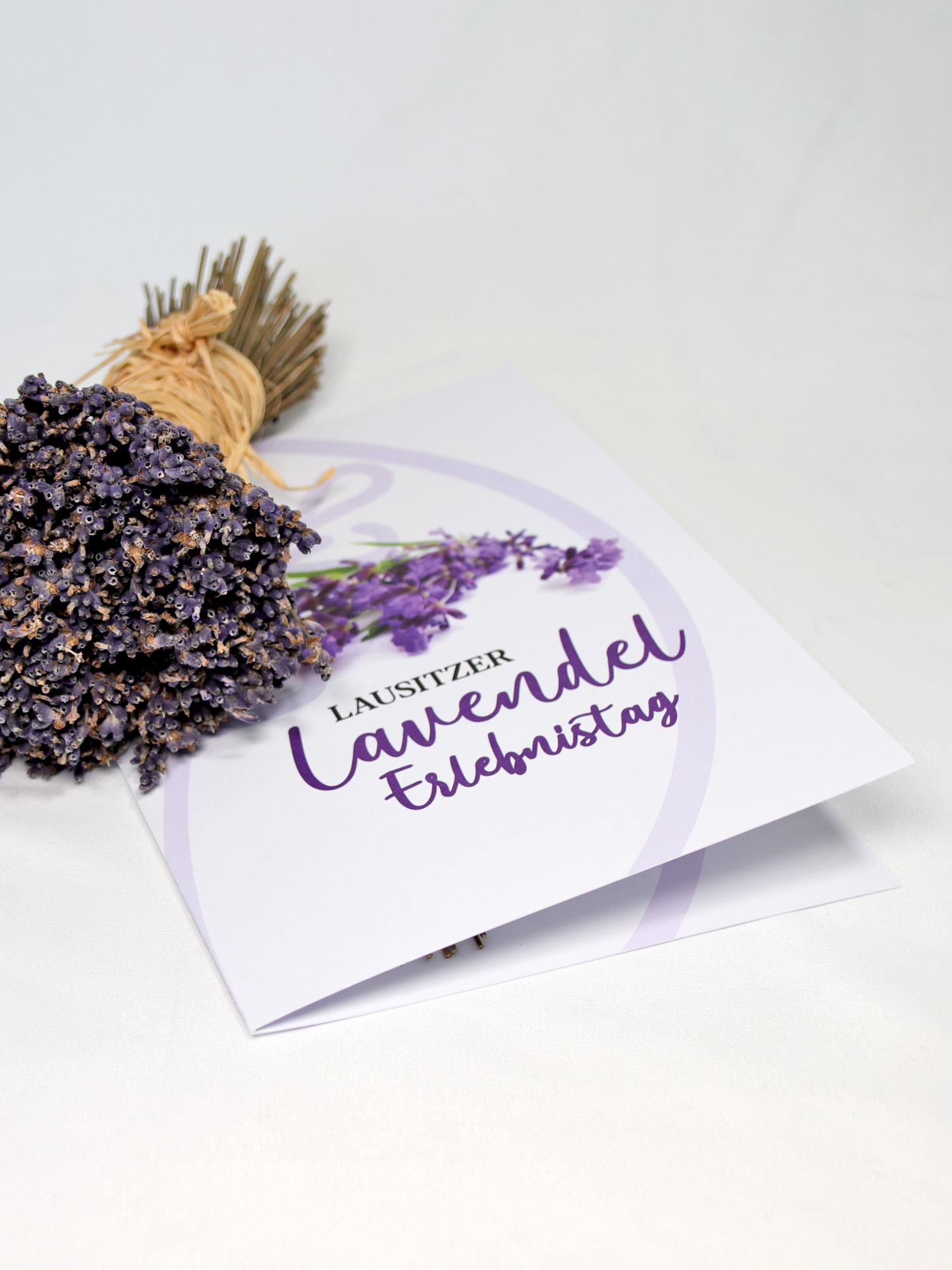 Lausitzer Lavendel Erlebnistag 2026