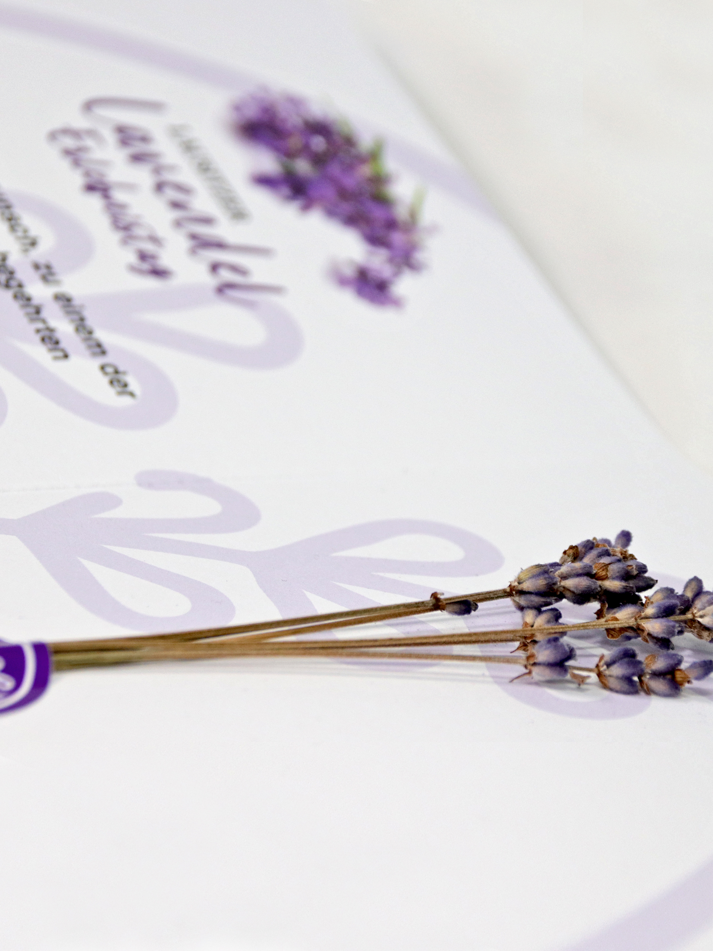 Lausitzer Lavendel Erlebnistag 2026