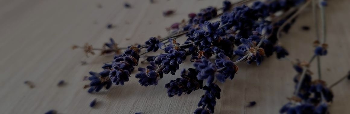 slider-3_800x800@2x_dark Lavenelblüten liegen auf dem Tisch (abgedunkelt)